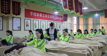 医圣故里艾飘香 蕲艾产业成为县域经济新引擎