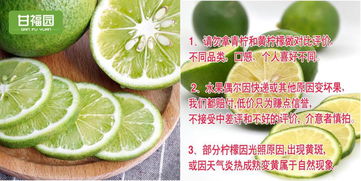 新手也能高点击 蕲艾制品主图设计实战指南